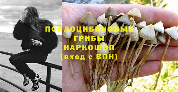 дмт Белоозёрский