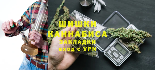 ECSTASY Богданович