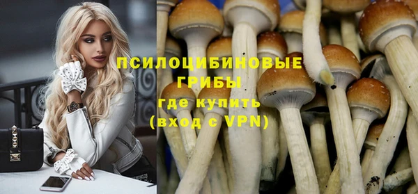 гашиш Богородицк