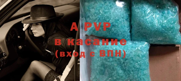 ECSTASY Богданович