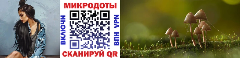наркошоп  Монино  Галлюциногенные грибы прущие грибы 